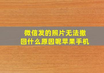 微信发的照片无法撤回什么原因呢苹果手机