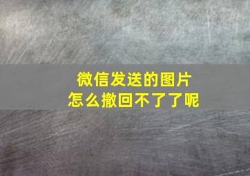 微信发送的图片怎么撤回不了了呢