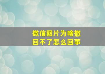 微信图片为啥撤回不了怎么回事