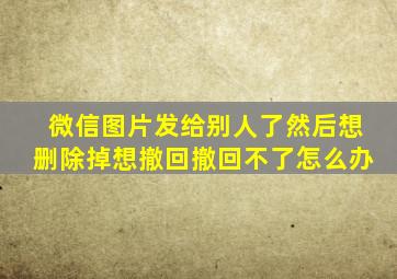 微信图片发给别人了然后想删除掉想撤回撤回不了怎么办