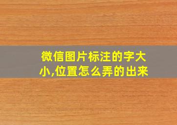 微信图片标注的字大小,位置怎么弄的出来