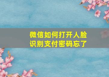 微信如何打开人脸识别支付密码忘了