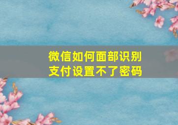 微信如何面部识别支付设置不了密码