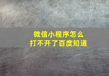 微信小程序怎么打不开了百度知道