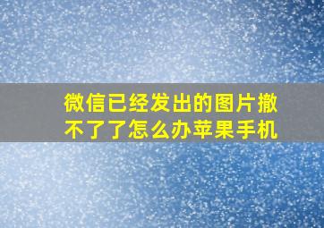 微信已经发出的图片撤不了了怎么办苹果手机