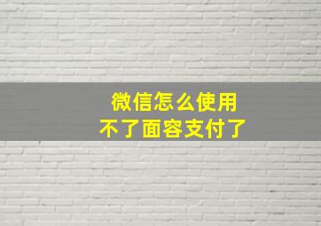 微信怎么使用不了面容支付了