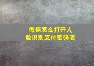 微信怎么打开人脸识别支付密码呢