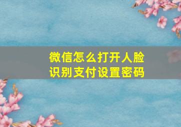 微信怎么打开人脸识别支付设置密码