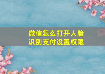 微信怎么打开人脸识别支付设置权限