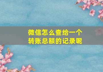 微信怎么查给一个转账总额的记录呢