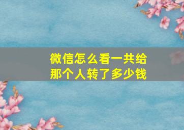 微信怎么看一共给那个人转了多少钱