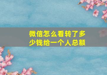 微信怎么看转了多少钱给一个人总额