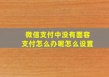 微信支付中没有面容支付怎么办呢怎么设置