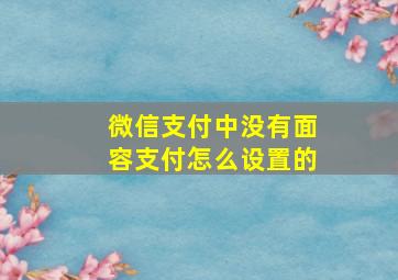 微信支付中没有面容支付怎么设置的