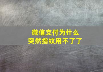 微信支付为什么突然指纹用不了了