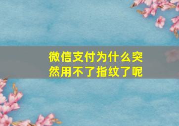 微信支付为什么突然用不了指纹了呢