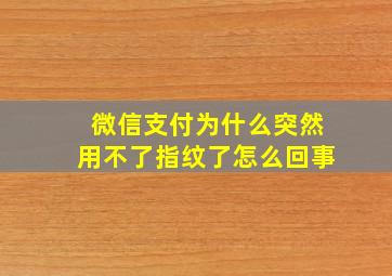 微信支付为什么突然用不了指纹了怎么回事