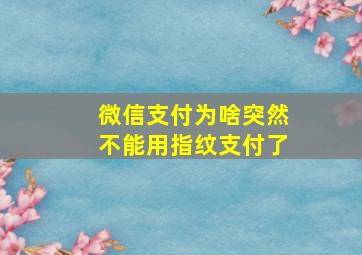 微信支付为啥突然不能用指纹支付了