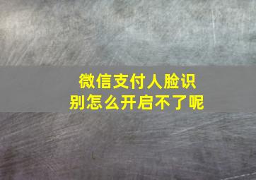 微信支付人脸识别怎么开启不了呢