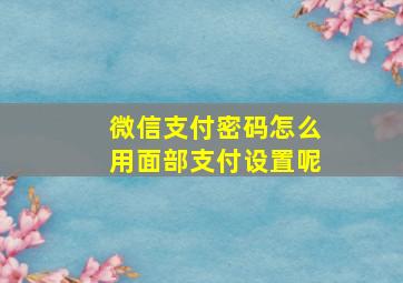 微信支付密码怎么用面部支付设置呢