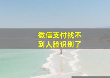 微信支付找不到人脸识别了