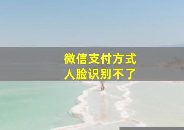 微信支付方式人脸识别不了