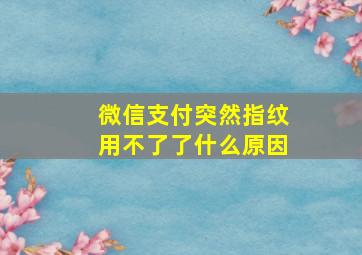 微信支付突然指纹用不了了什么原因