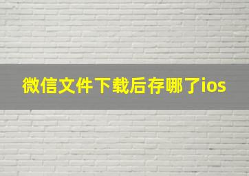 微信文件下载后存哪了ios