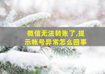 微信无法转账了,提示帐号异常怎么回事