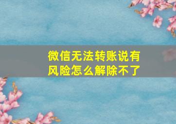 微信无法转账说有风险怎么解除不了