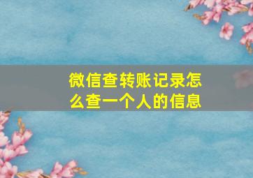 微信查转账记录怎么查一个人的信息