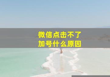 微信点击不了加号什么原因