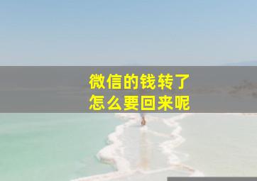 微信的钱转了怎么要回来呢