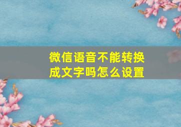 微信语音不能转换成文字吗怎么设置