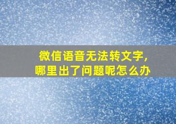 微信语音无法转文字,哪里出了问题呢怎么办