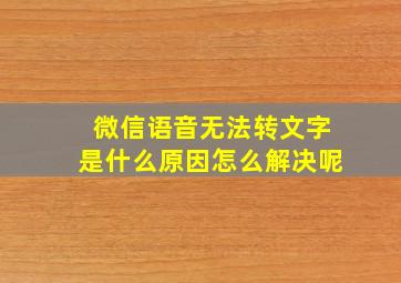 微信语音无法转文字是什么原因怎么解决呢