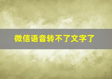 微信语音转不了文字了