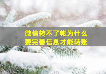 微信转不了帐为什么要完善信息才能转账