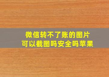 微信转不了账的图片可以截图吗安全吗苹果