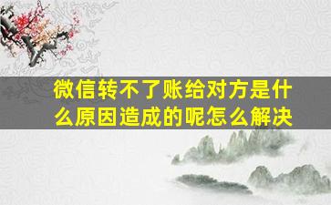 微信转不了账给对方是什么原因造成的呢怎么解决