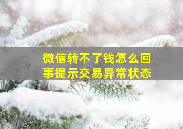 微信转不了钱怎么回事提示交易异常状态