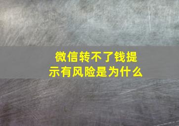 微信转不了钱提示有风险是为什么