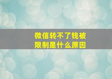 微信转不了钱被限制是什么原因