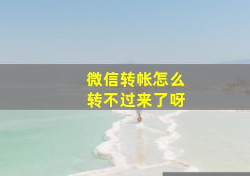 微信转帐怎么转不过来了呀