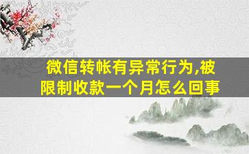 微信转帐有异常行为,被限制收款一个月怎么回事