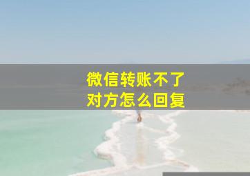 微信转账不了对方怎么回复