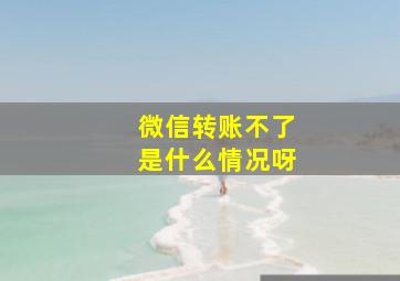 微信转账不了是什么情况呀