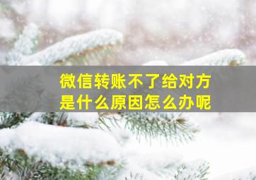 微信转账不了给对方是什么原因怎么办呢