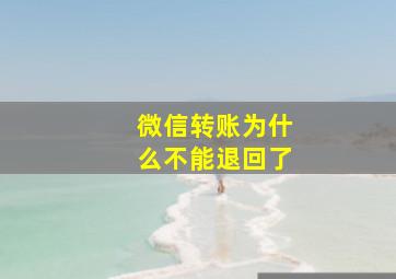 微信转账为什么不能退回了