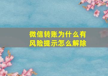 微信转账为什么有风险提示怎么解除